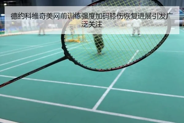 德约科维奇美网前训练强度加码膝伤恢复进展引发广泛关注